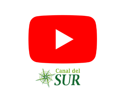 Canal youtube Canal del Sur
